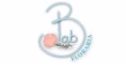 Logo Florăria Bab