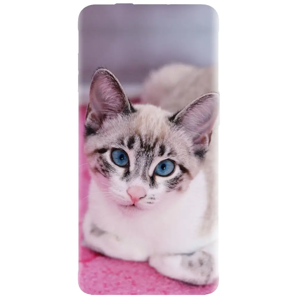 Husa din silicon - model Siamese Kitty