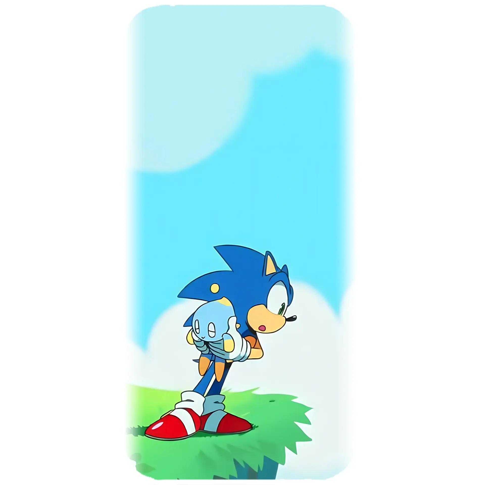 Husa personalizata cu Sonic - model 004