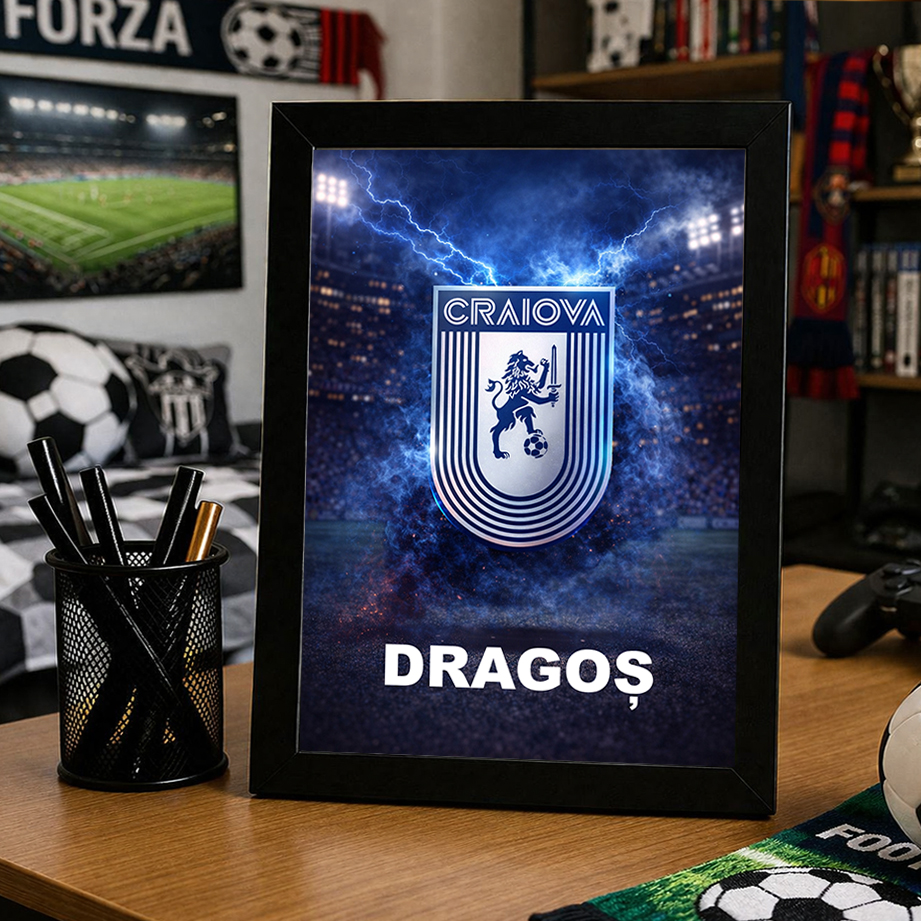 Tablou Universitatea Craiova personalizat cu numele tau