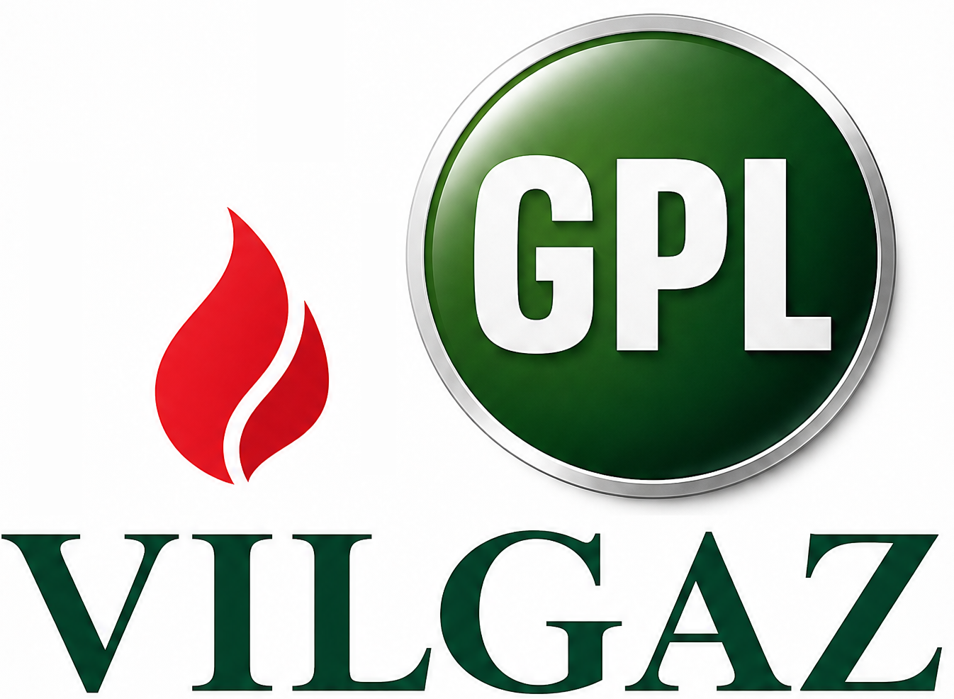 Logo VILGAZ